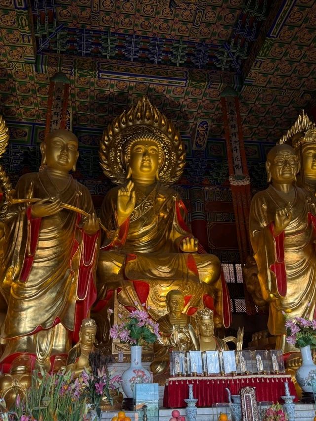 Dali Buddha Bliss🧘‍♂️