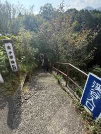 🚶‍♂️沿著高千穗步道走，心曠神怡的剛剛好
