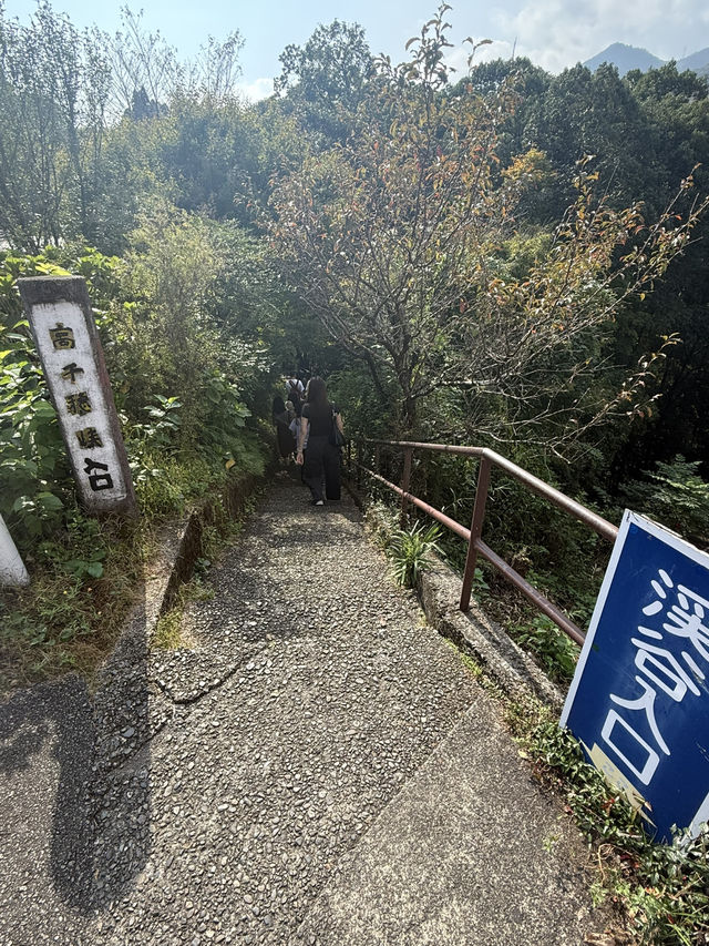 🚶‍♂️沿著高千穗步道走，心曠神怡的剛剛好