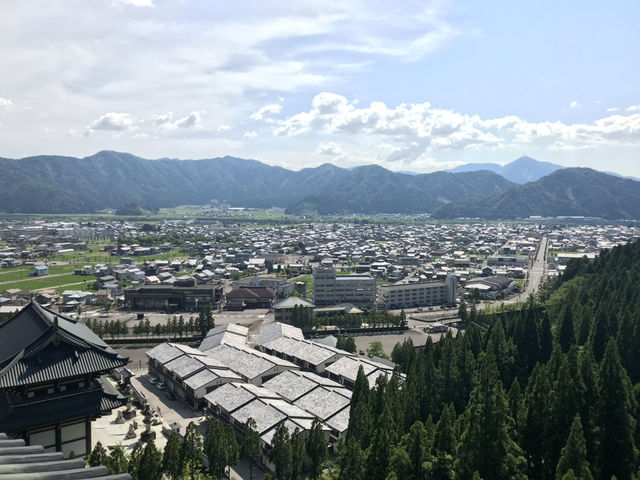 【福井・越前大仏🪷】圧巻のスケール！日本一大きな坐像を拝む旅