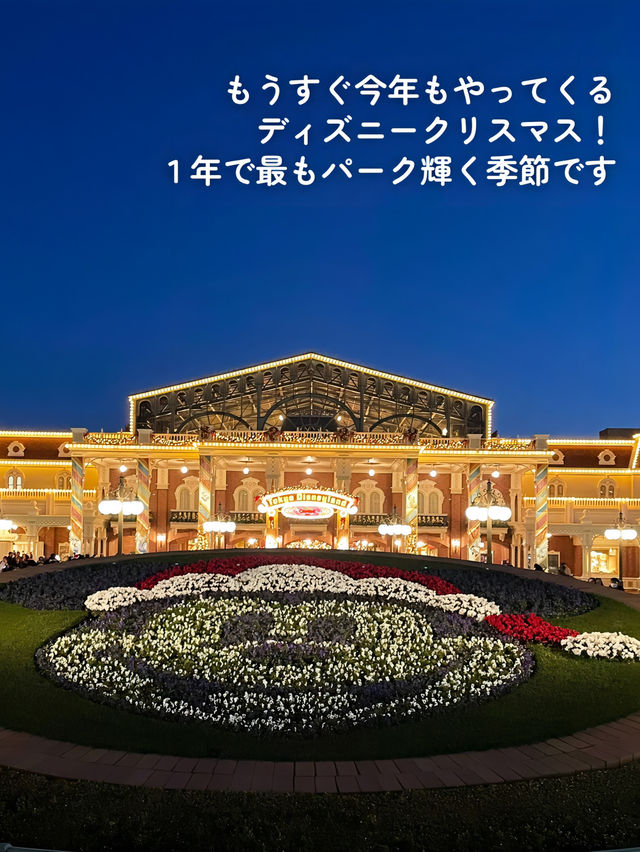 【 私の大好きなディズニーランド🎄 】