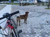 【🇦🇱アルバニア】シュコダルにてサイクリング🚲