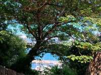 🏰 Castello di Muggia – Medieval Majesty by the Adriatic