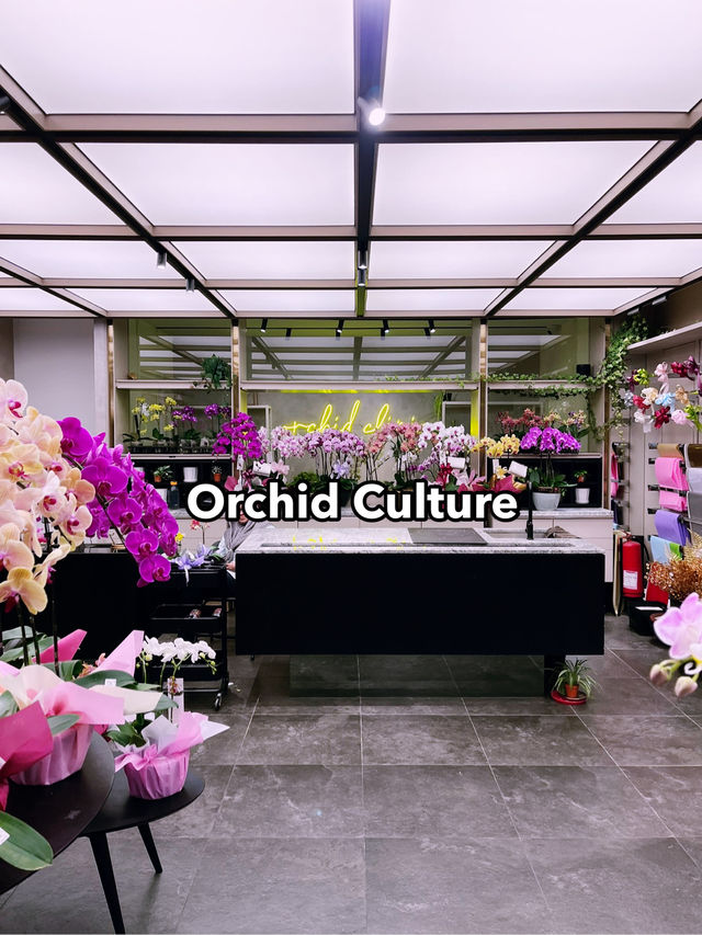 Beautiful Orchid Culture Store: Must-Visit Paradise for Orchid Lovers