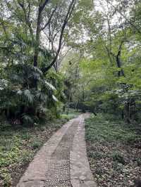🇨🇳 History in the Clouds: Exploring Nanjing’s Purple Mountain (Zijin Shan)