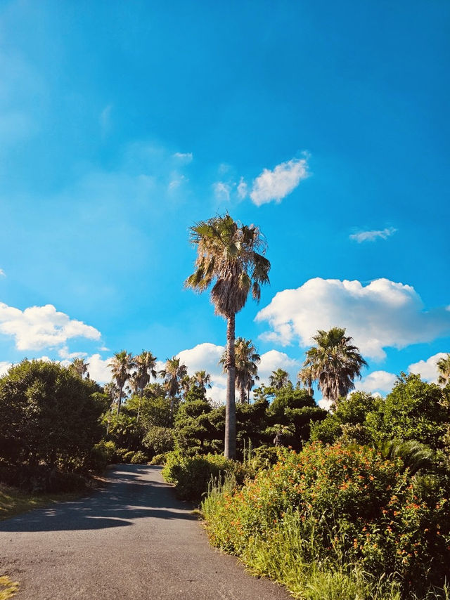 Quality Views and Relaxed Environment