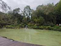 Panda Valley (Good Alternative to Chengdu Research Base of Giant Panda Breeding)