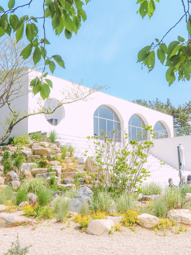 거제의 오션뷰를 담은 대형카페 “오송웨이브”🤍🌿