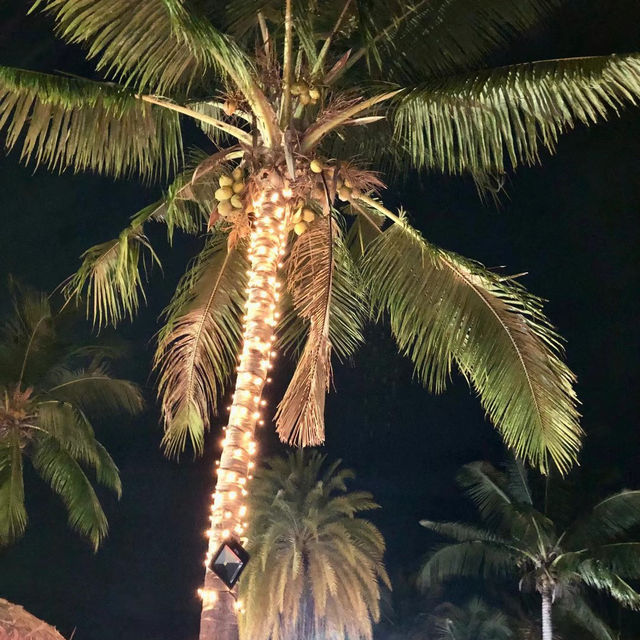 【斐濟夢幻住宿】住進海邊華美達🏝️ 從早到晚都浪漫！