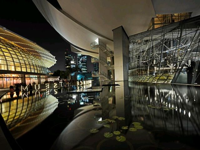 Singapore's Must-See: Dive into Digital Magic at ArtScience Museum! 🖼️💡