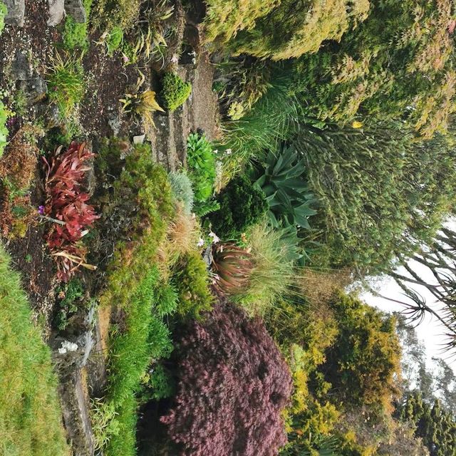 Ayrlies Garden Ayrlies Garden