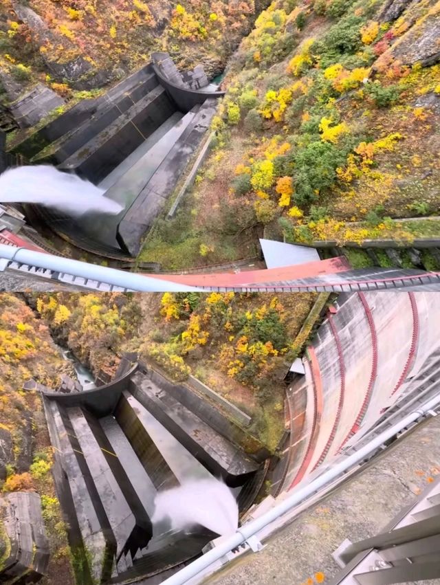 🍁札幌必打卡！深秋豐平峽水庫紅葉絕景全攻略