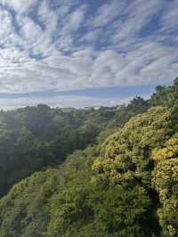 Jeju Nature Days🌼