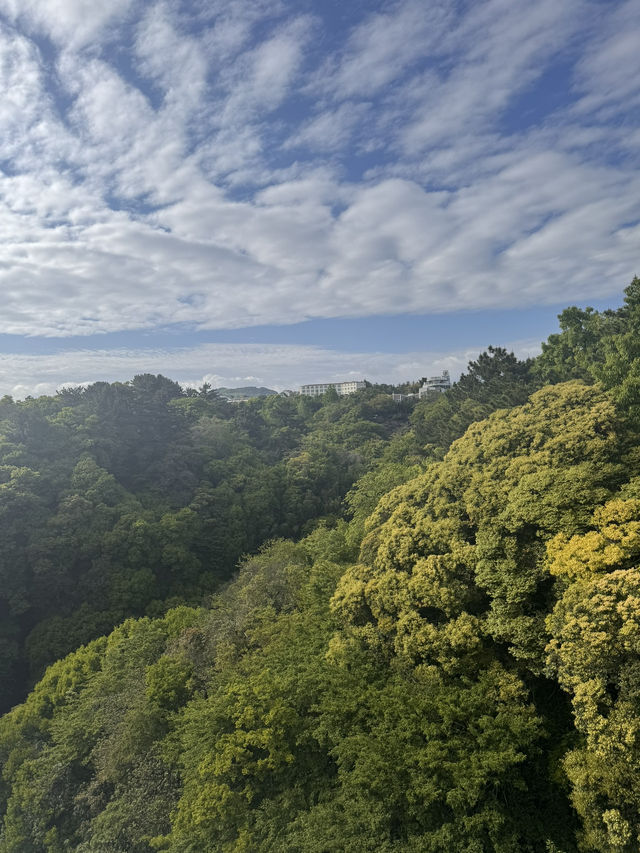 Jeju Nature Days🌼 Jeju Nature Days🌼