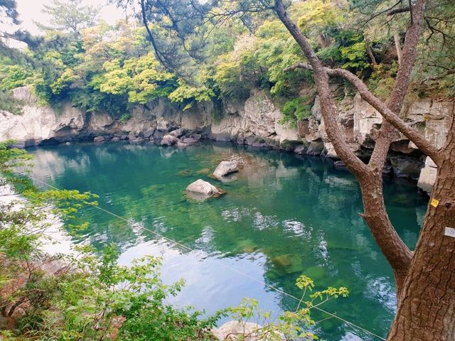 민물과 바다가 만나는 곳! 📍쇠소깍 민물과 바다가 만나는 곳! 📍쇠소깍