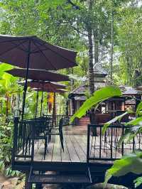 Ted du coffee @แม่กำปอง