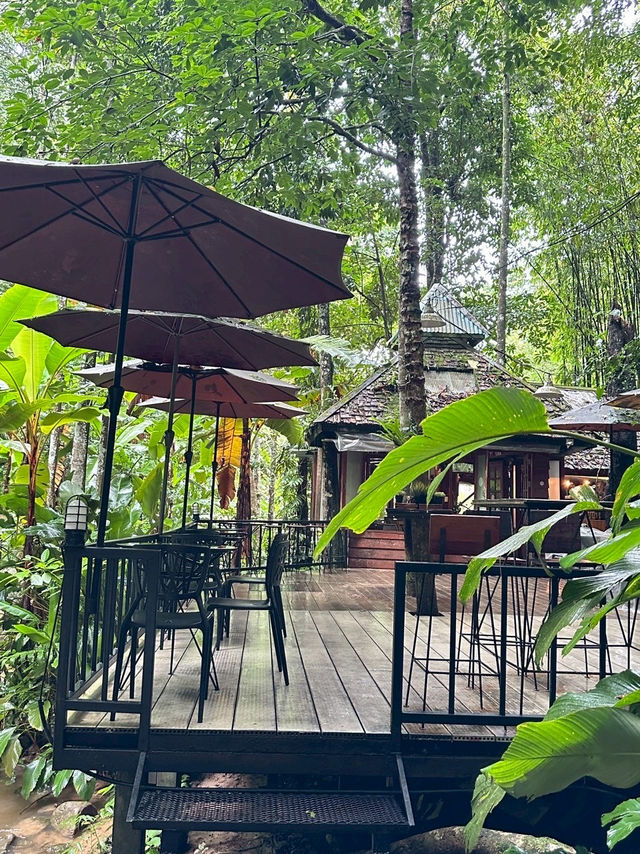 Ted du coffee @แม่กำปอง Ted du coffee @แม่กำปอง