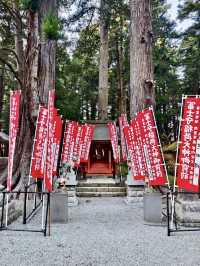 《巨杉守護的靜謐時光•北口本宮富士淺間神社》
