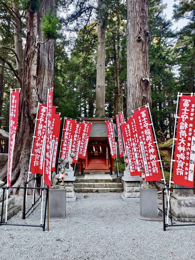 《巨杉守護的靜謐時光•北口本宮富士淺間神社》