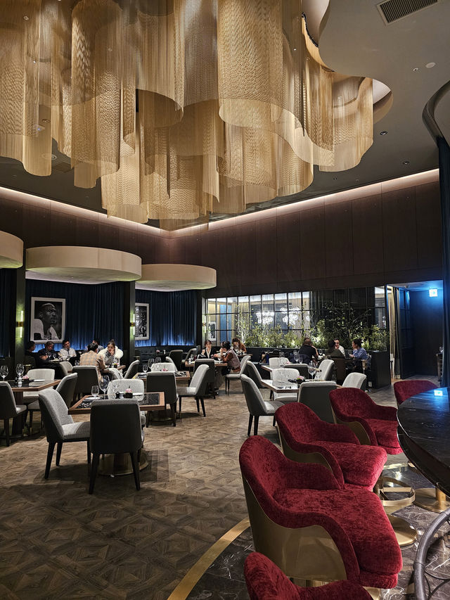 따뜻한 조명과 함께한 겨울밤 인스파이어 후기