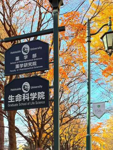 🍁✨ ใบไม้เปลี่ยนสีที่มหาวิทยาลัยฮอกไกโด 🍁✨ ใบไม้เปลี่ยนสีที่มหาวิทยาลัยฮอกไกโด