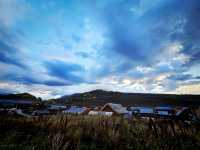 Winter Escape to Xinjiang: Powder Snow Adventure