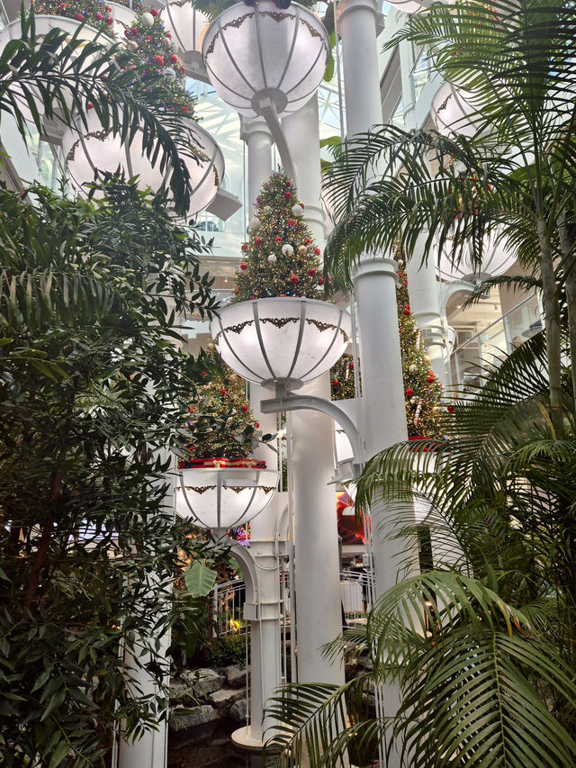 🎄 겨울빛이 스며드는 대형 카페, 포레스트아웃팅스 용인 🎄