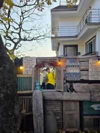 힐링가득 거제도에서 만난 발리감성🤎