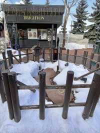 Chocolate Wonderland: Shiroi Koibito Park in Sapporo