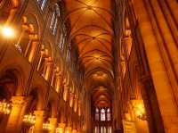 ⛪️巴黎聖母院｜走進歷史裡的一段靜謐