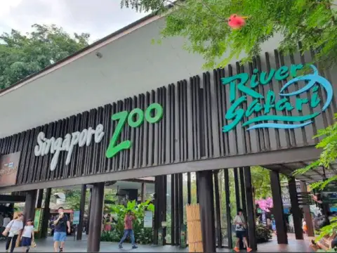 🦁 Singapore Zoo: A World-Class Wildlife Experience! 🌿