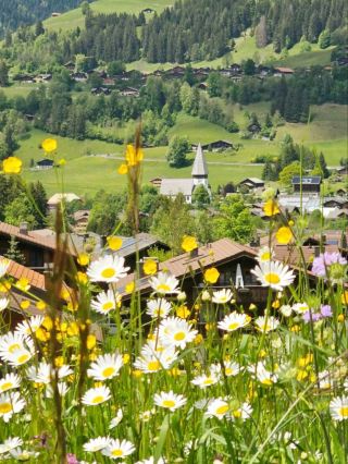 Alpbach in the Austrian Alps