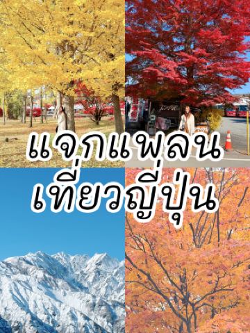 Here's an 11-day Japan itinerary.