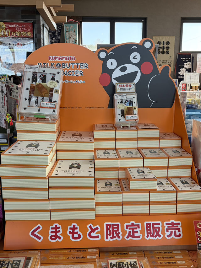 【阿蘇観光】阿蘇観光マストの観光地!阿蘇山噴煙展望公園