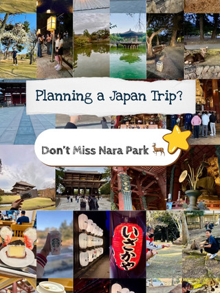鹿、寺廟與奇妙時刻🦌✨ — 為什麼奈良公園應該列入你的日本旅遊清單