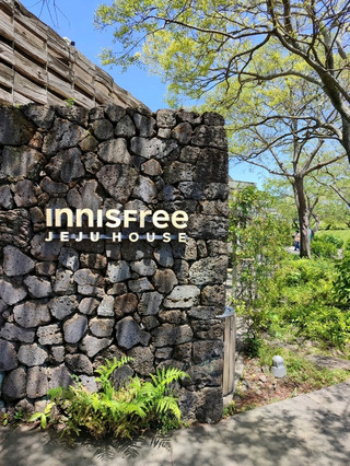 이니스프리 제주 하우스와 싱그러운 녹차밭!