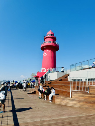 서울 근교의 해안 휴양지, 안산 발견하기 🌊🇰🇷