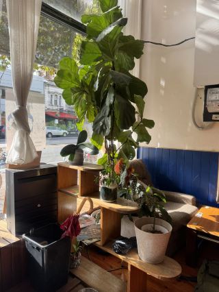 西墨爾本 Udom House Thai Cafe :) 型格又好Feel！