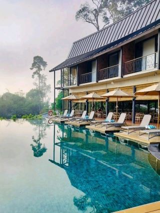 Vana Vasa Resort: The Most Chill Stay in Janda Baik 😎🌿