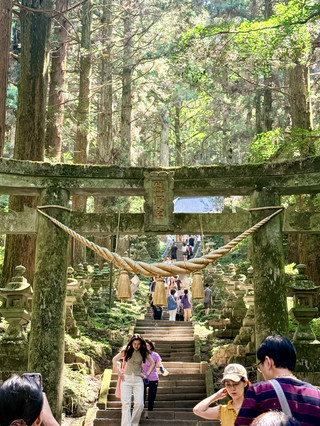 A tranquil, verdant sanctuary: Kamishimi Kumanozha Shrine, a stroll along the ancient tree-lined approach.