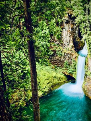 Jamaica Portland Blue Hole Mossy John Crow Mountain Foresteasytravelpost #ReachFalls #JohnCrowMount