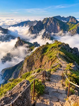 🌿 Madeira — เกาะสวรรค์กลางมหาสมุทรแอตแลนติก