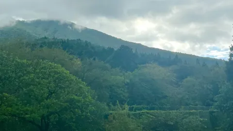 시즈오카 스소노에서 누마즈까지, 알차게 즐기는 드라이브 코스를 소개합니다! 🚗💨 — traveler post in 누마즈 시