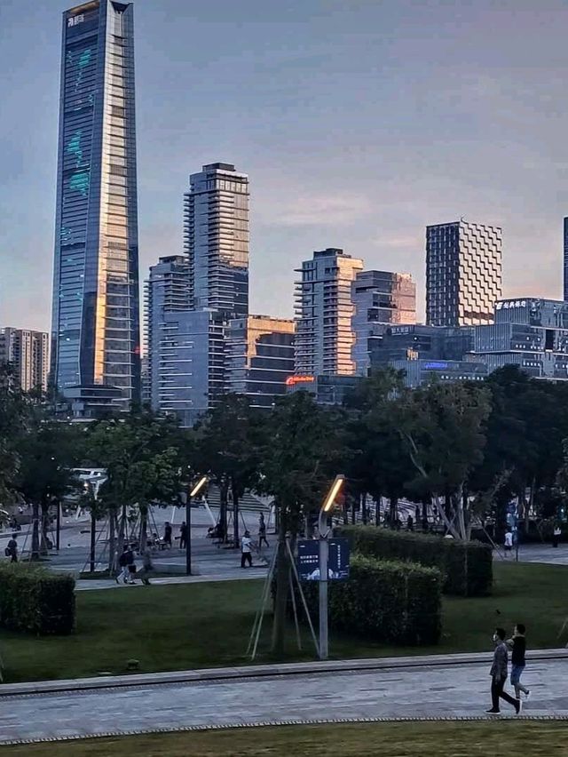 🏙️ 🌆 🌴 Shenzhen Bay Lights 🌴 🌆🏙️