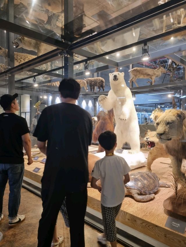 우리라라 최고수준의 과학관 투어