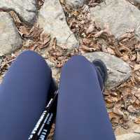 오대산 노인봉 등린이 최단코스⛰️