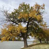 Fairbanks park Indianapolis USA