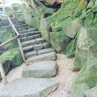 【神奈川県🇯🇵報国寺】竹林が有名な報国寺☺️マイナスイオンに癒されながらお抹茶で小休憩🍵