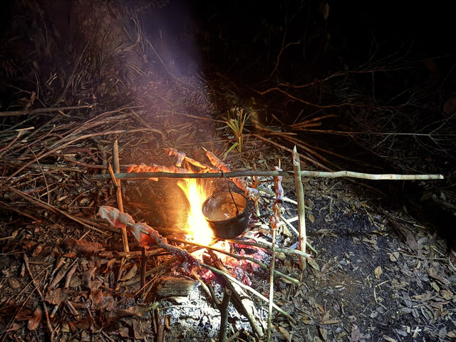 馬瑙斯亞馬遜叢林3天2晚探險旅遊攻略 🏕️