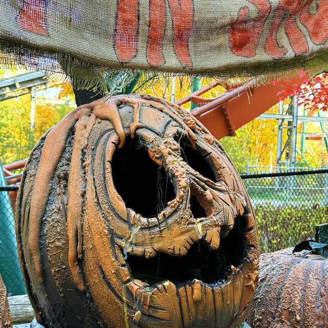 多伦多Canadas Wonderland🎢